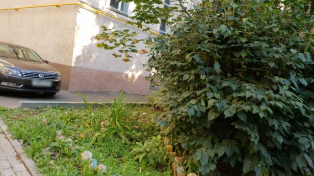 Старопименовский переулок, 4с2
