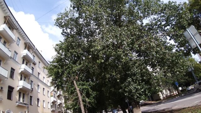 Фасад дома: Кубанская улица, дом 12, строение 1
